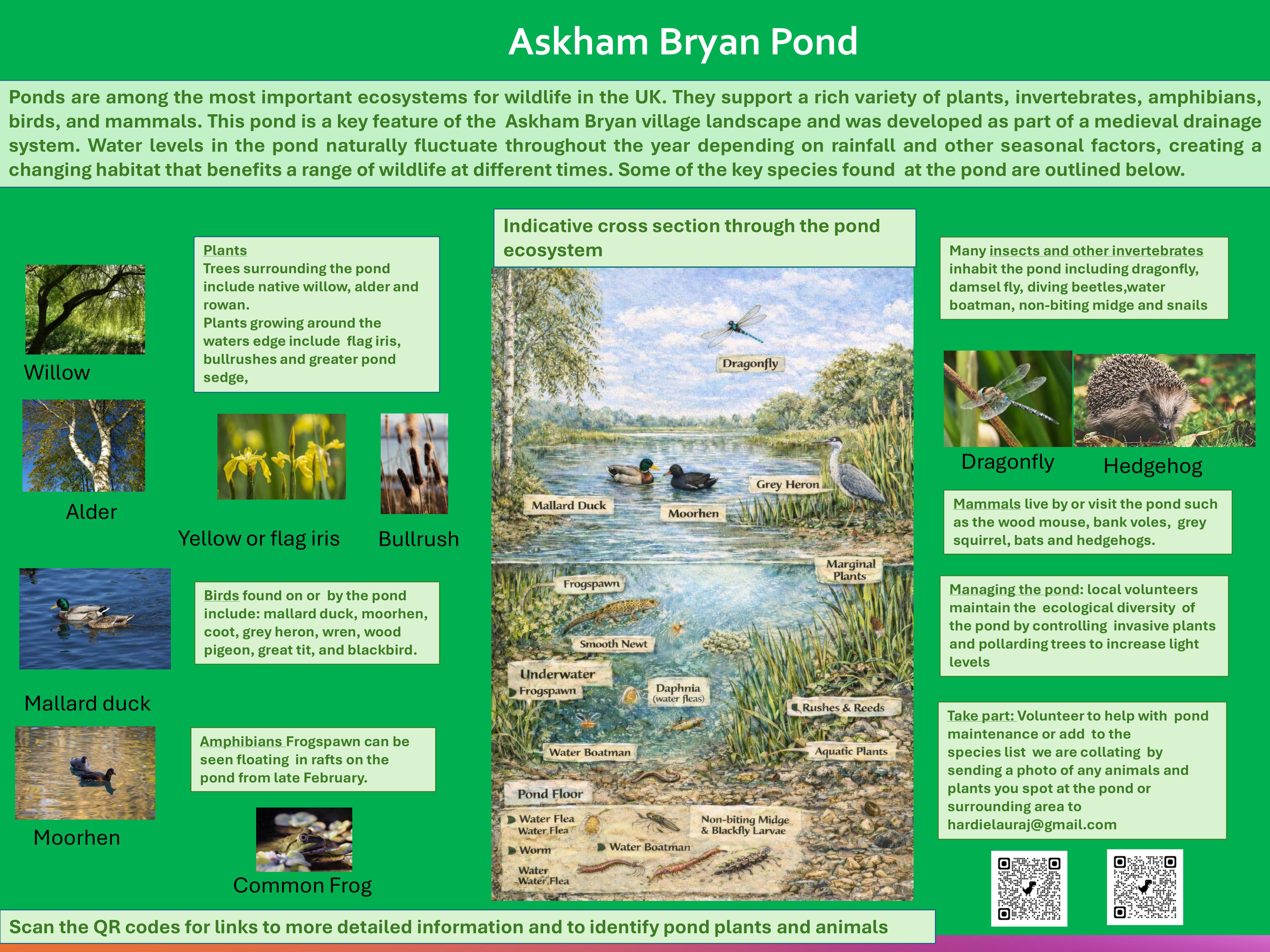askham bryan pond environment group slides 5-images-0.jpg
